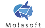 合同会社Molasoft